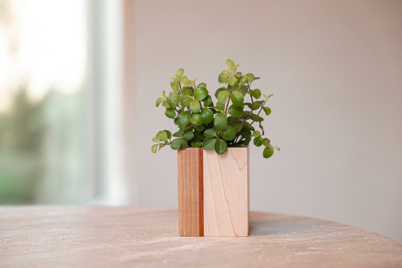 Mini planturne, Kers + padoek + es