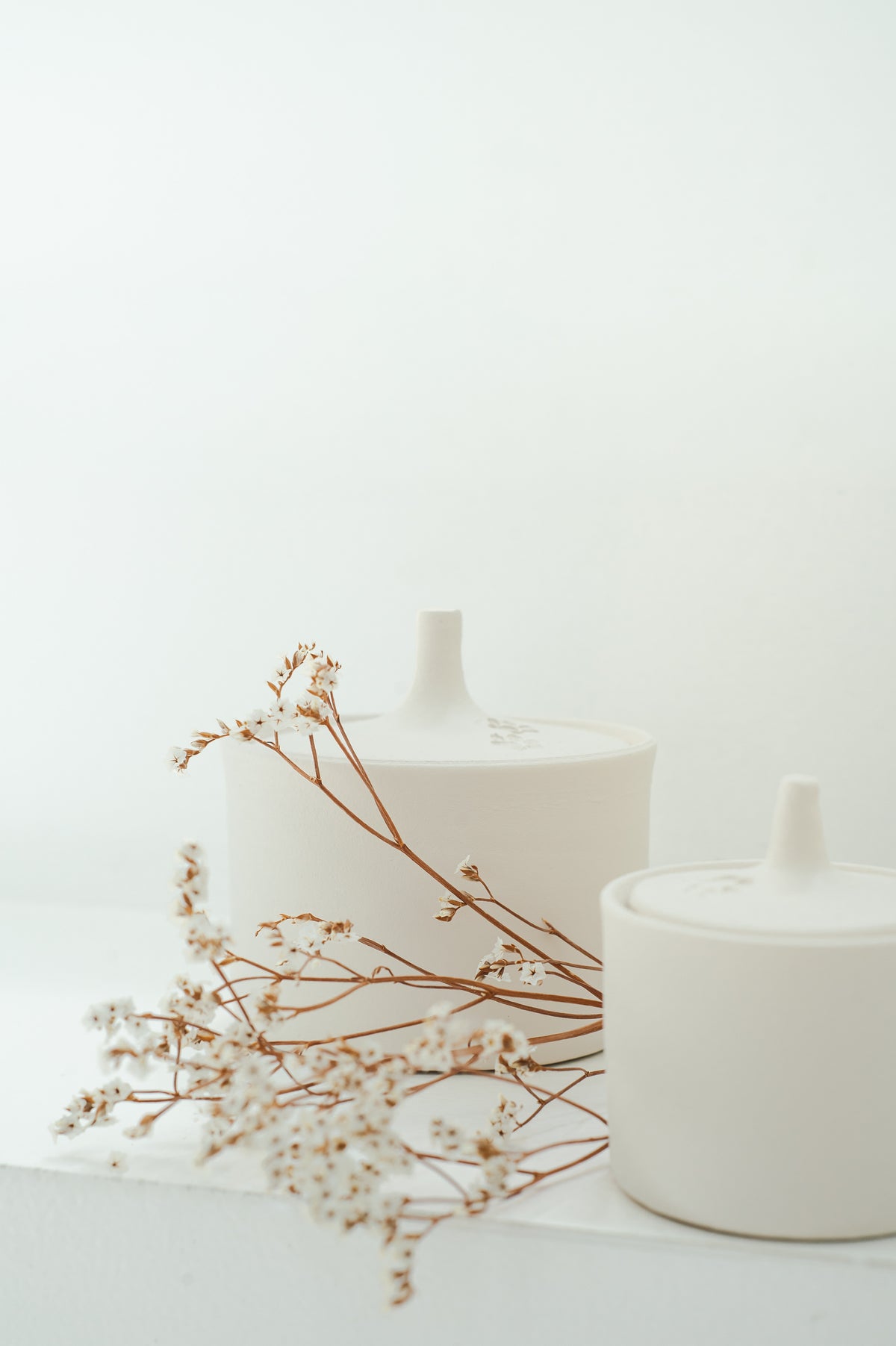 Urn voor dieren 55 ml keramiek, katoenwit, PAW