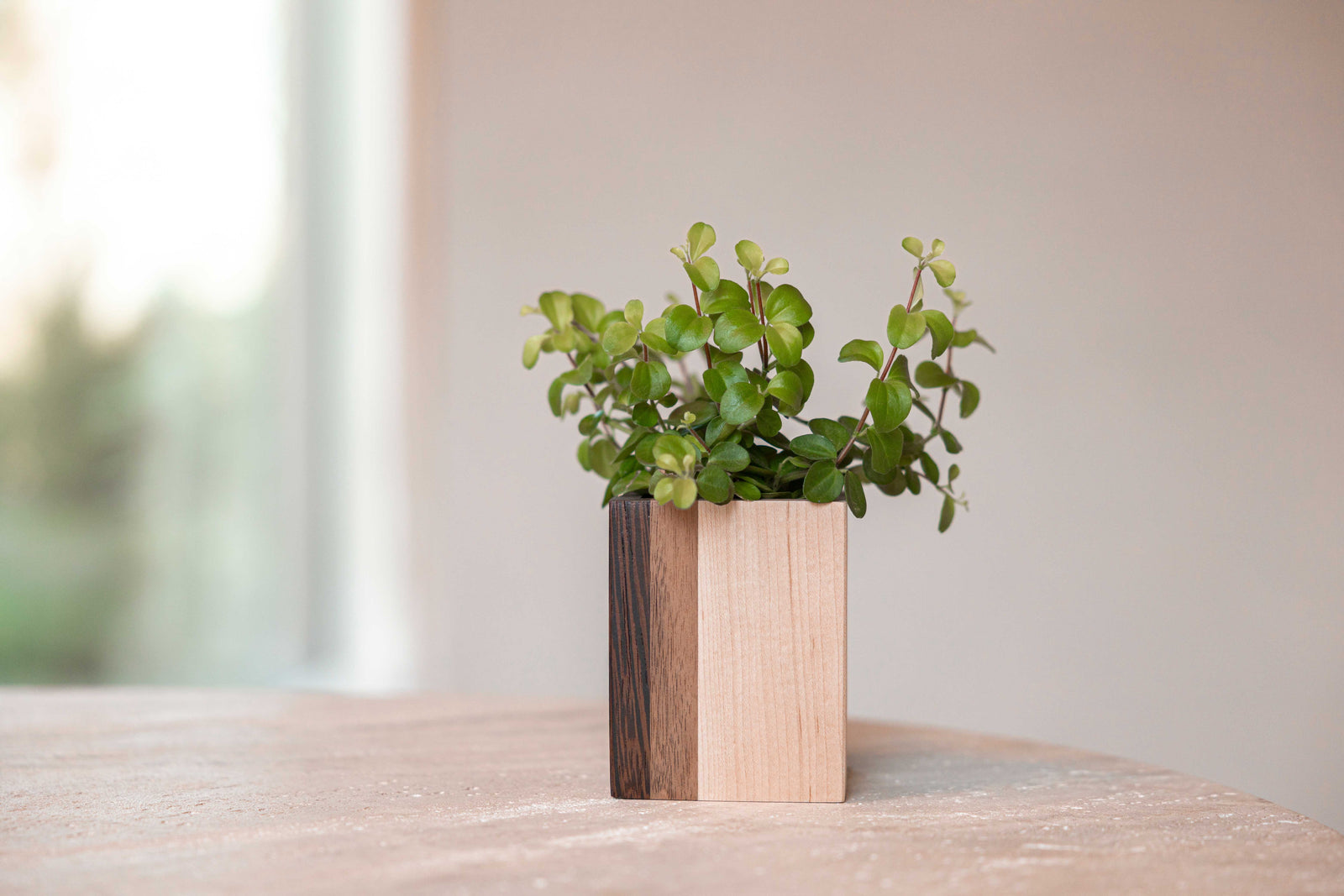Mini planturne, Wengé + walnoot + es