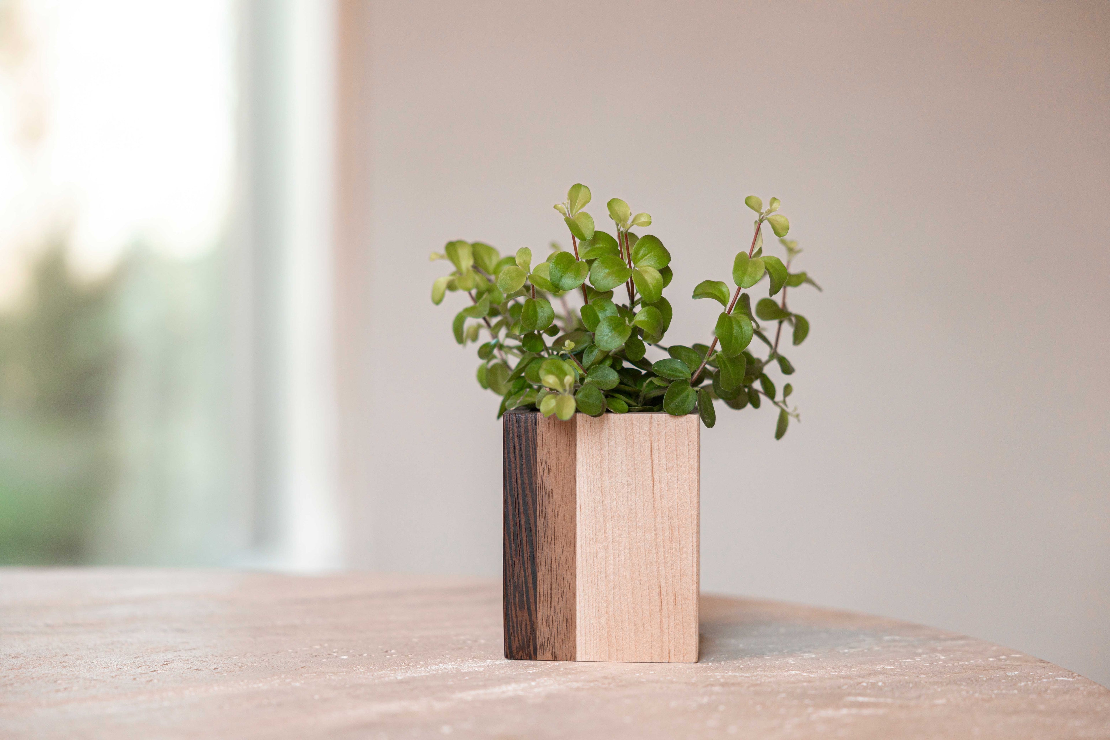 Mini planturne, Wengé + walnoot + es