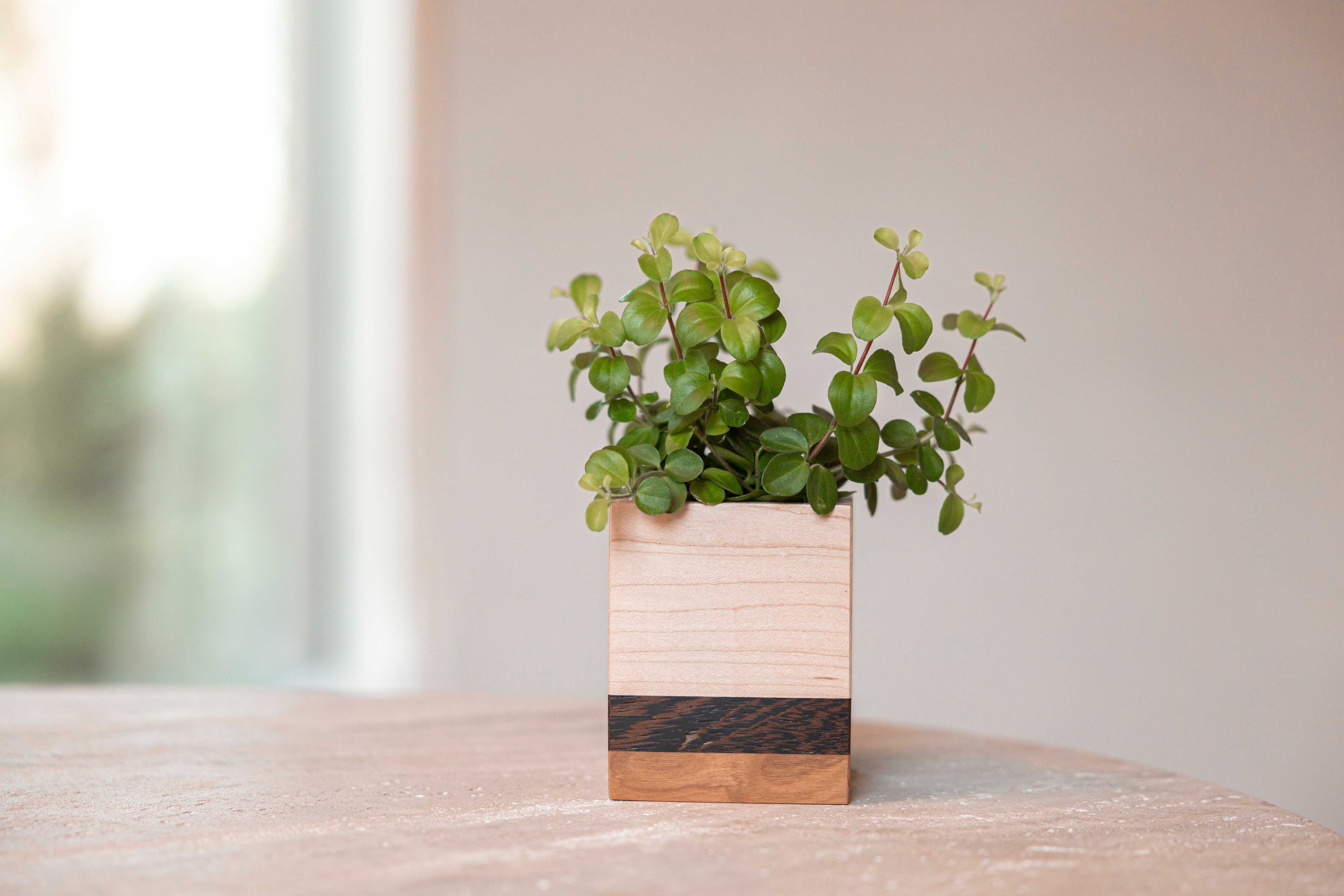 Mini planturne, Es + wengé + kers