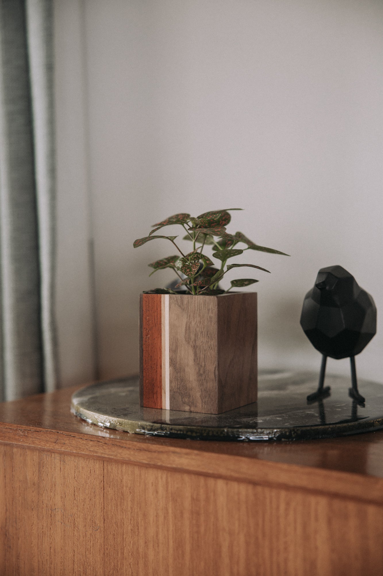 Mini planturne, Wengé + es