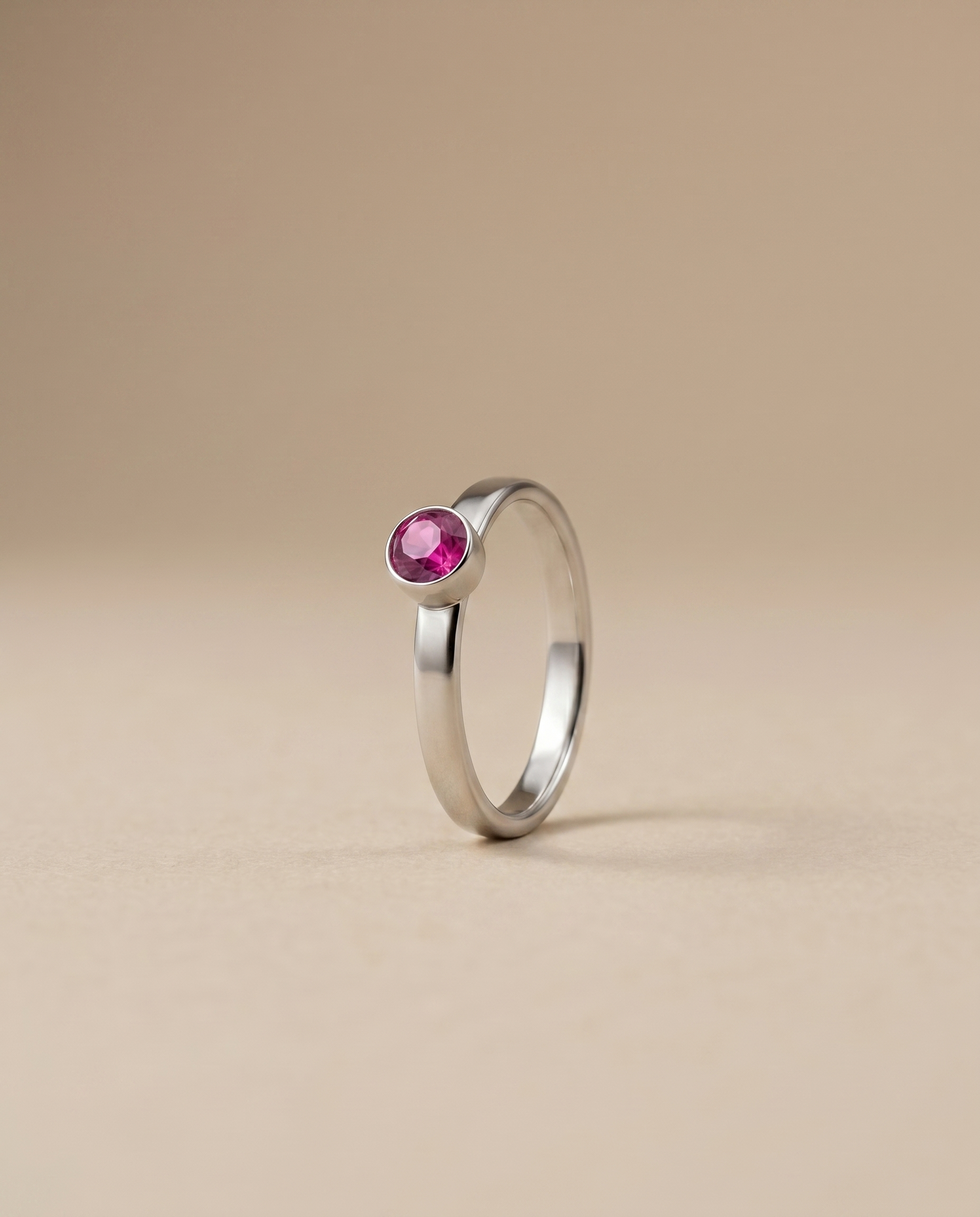 Februari Amethist Ring in edelstaal